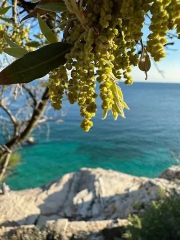 Apartment Fragrances Of Istria - La Lavanda Fizela Croatia